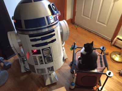 Molly Meets R2.jpg